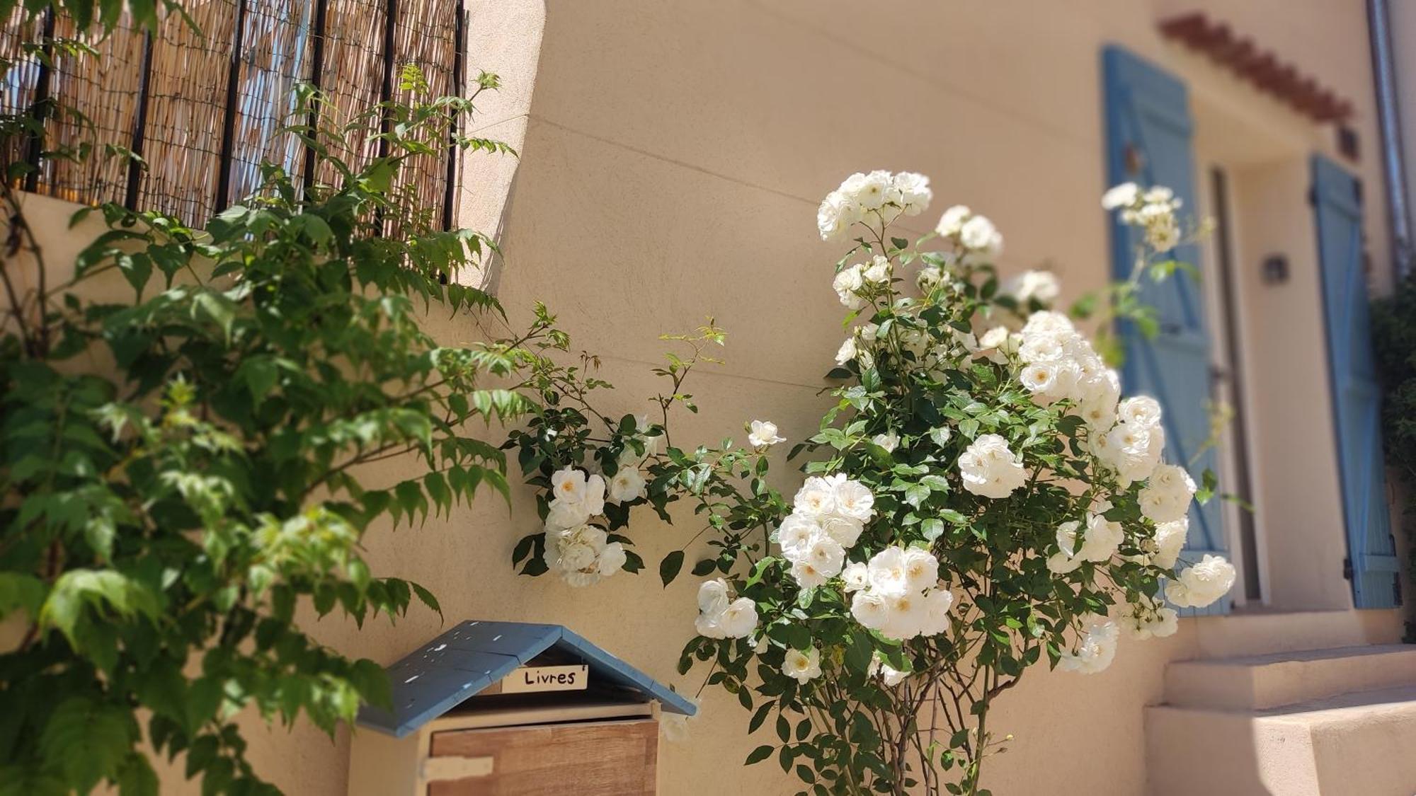 Petite Pause A Pourrieres, Appartement 40M2 Exterior photo